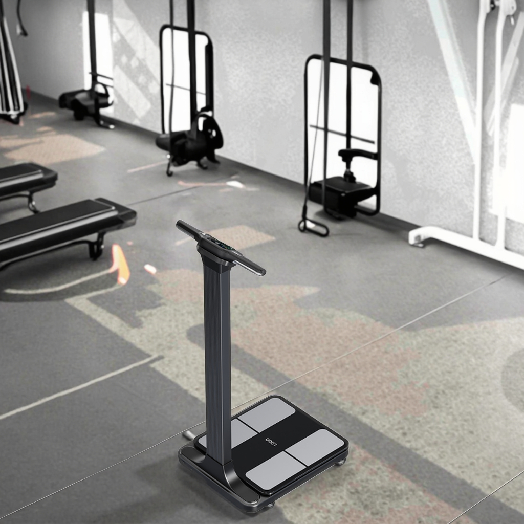 Body Fat Scale Smart - Recentemente LTO Analisador de Balança Inteligente